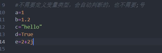 变量类型 变量类型